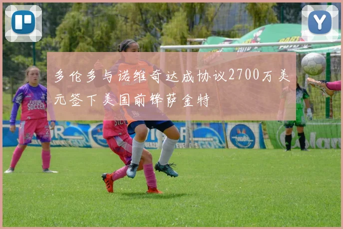 多伦多与诺维奇达成协议2700万美元签下美国前锋萨金特