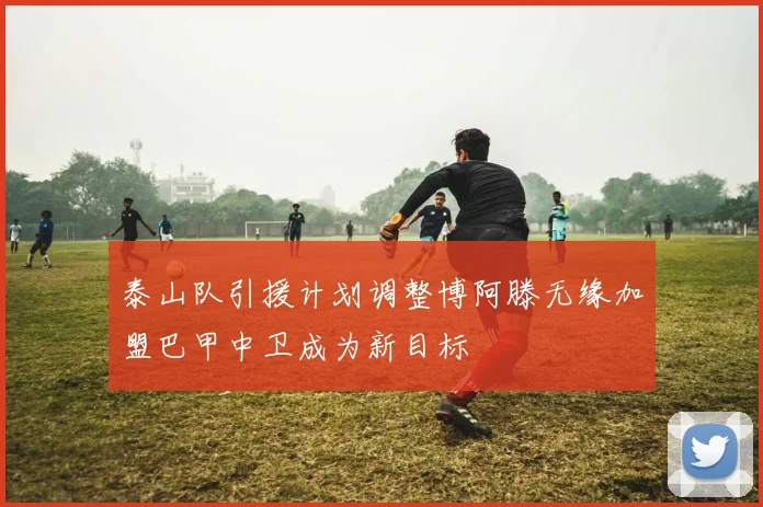 泰山队引援计划调整博阿滕无缘加盟巴甲中卫成为新目标