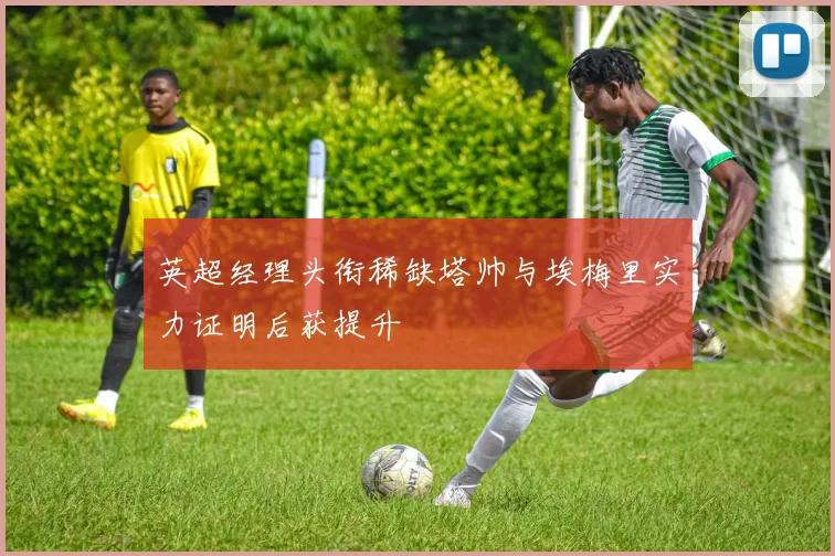 英超经理头衔稀缺塔帅与埃梅里实力证明后获提升