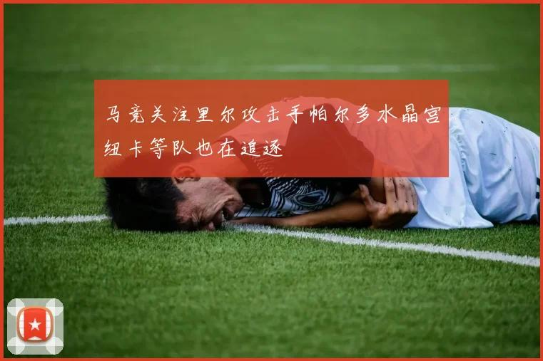 马竞关注里尔攻击手帕尔多水晶宫纽卡等队也在追逐