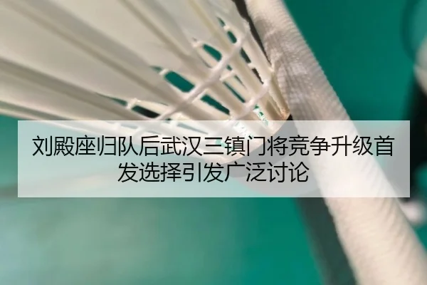 刘殿座归队后武汉三镇门将竞争升级首发选择引发广泛讨论（MILANSPORT）